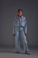 Rhinestone Embellished Blue Jeans